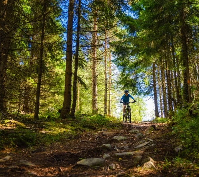 En man cyklar längs en skogsstig.