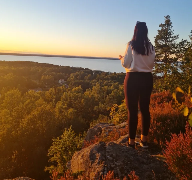 En person som står vid en utsiktsplats och ser ut över skog och Vänern.