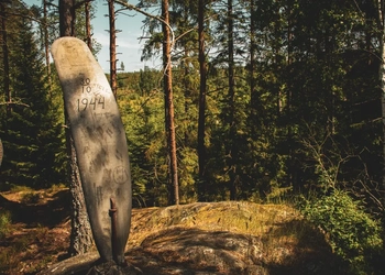 Flygkraschen i Vissla, flygvinge i skogen