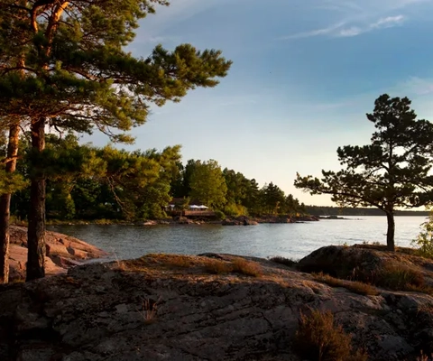 En utsikt över ett vattendrag omgiven av träd.