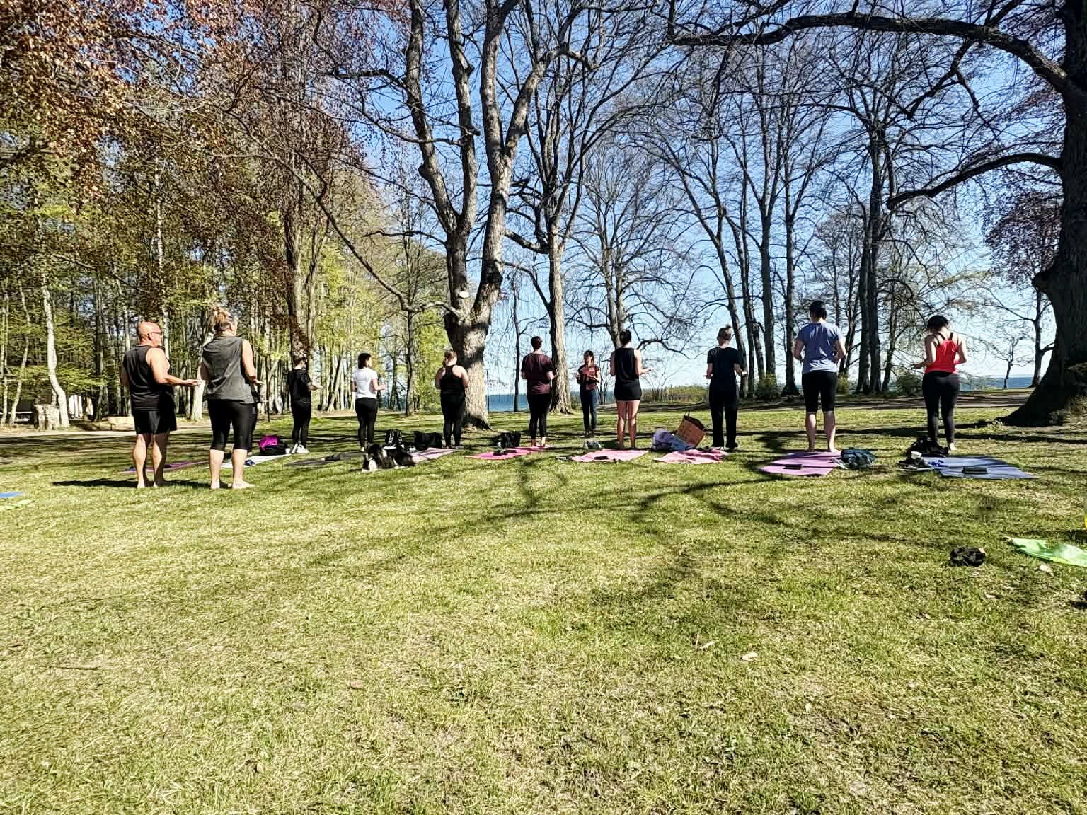 Hälsodagen i Hjo