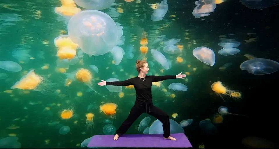 Yoga framför maneter på Havets Hus