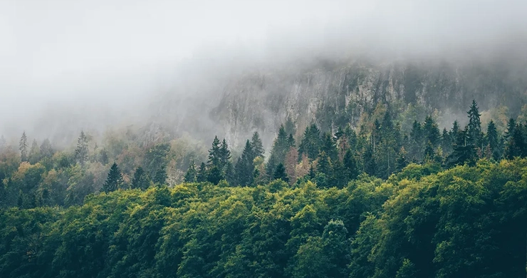 Ekopark Halle och Hunneberg i dimma