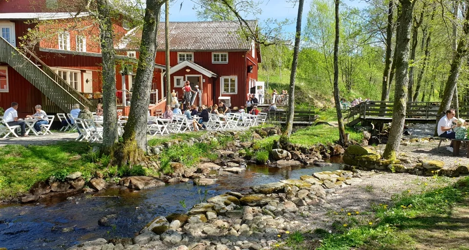 Vänga Mosse och kvarn café