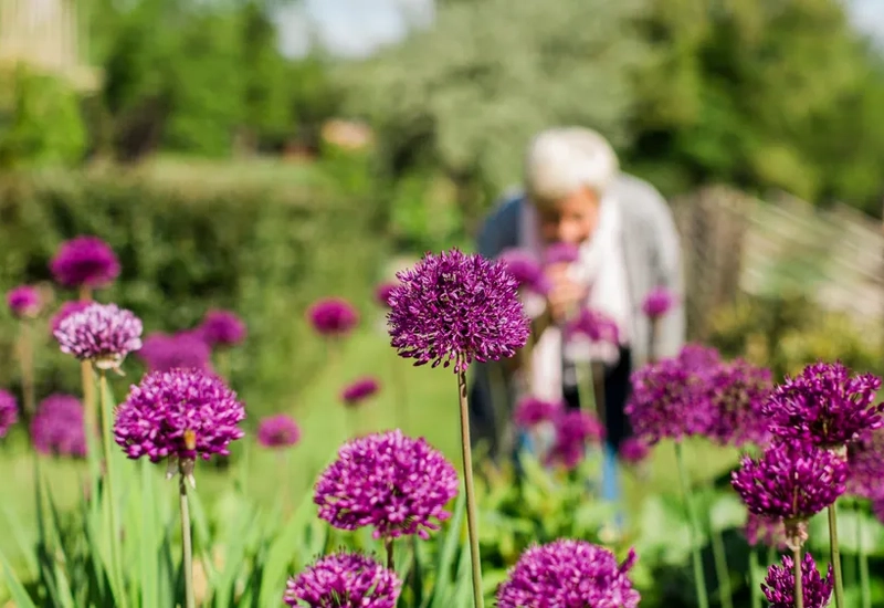 Kvinna besöker Sammels Trädgård