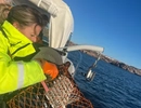 En kvinna i gul jacka håller i ett fisknät.
