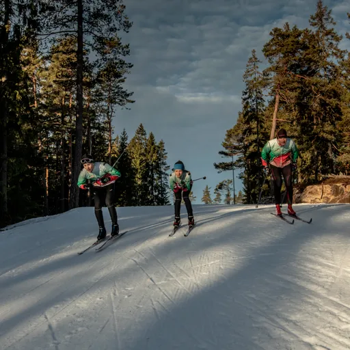 En grupp människor som åker skidor nedför en snötäckt sluttning.