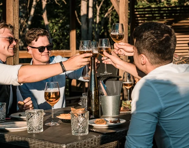 Grupp av människor skålar utomhus.