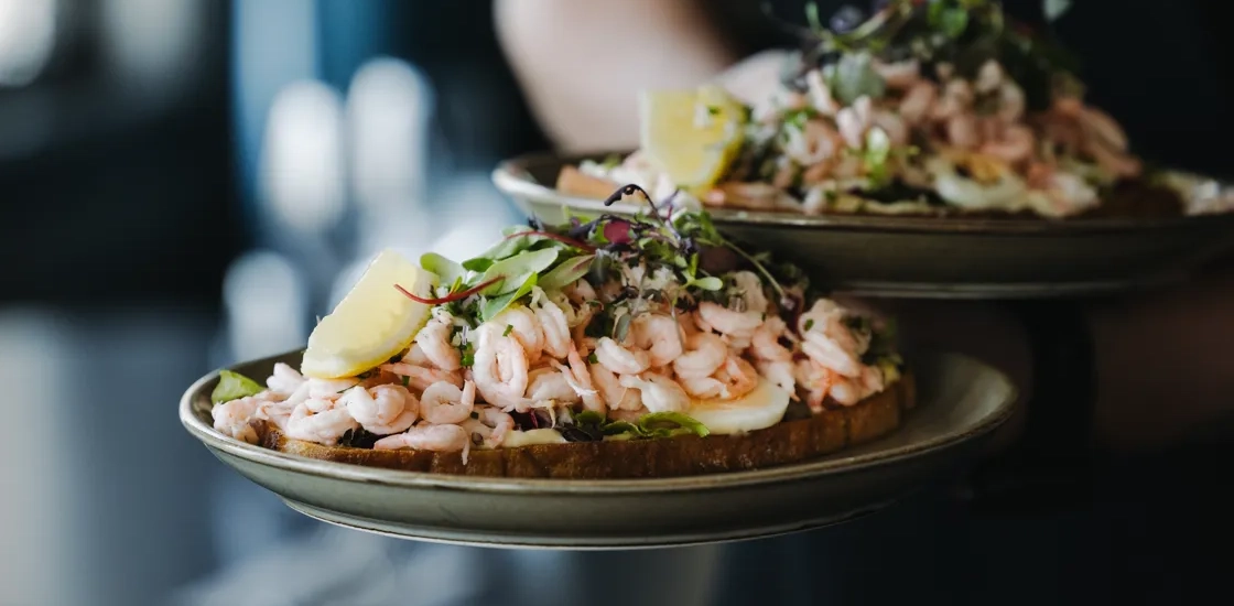 Två tallrikar med skaldjur.