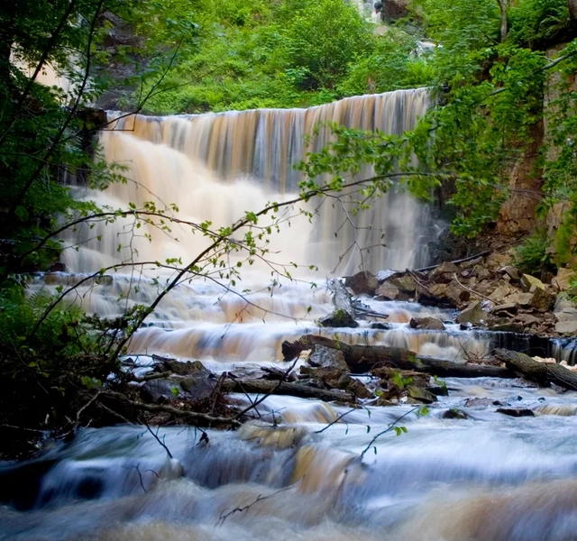 Ett vattenfall med vatten som rinner ner omgivet av träd.