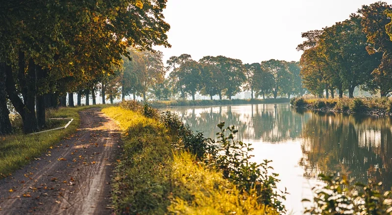 A dirt road next to a body of water.