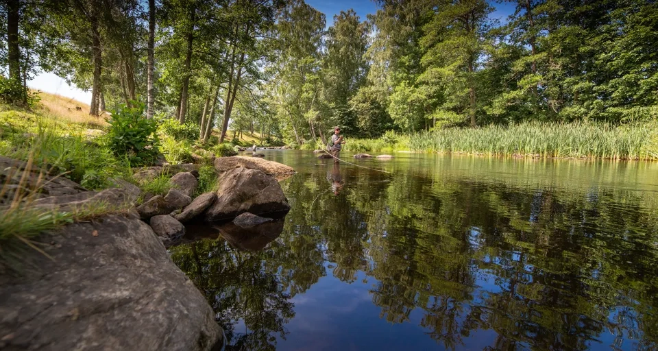 Vy över ån Tidan utanför Tidaholm.