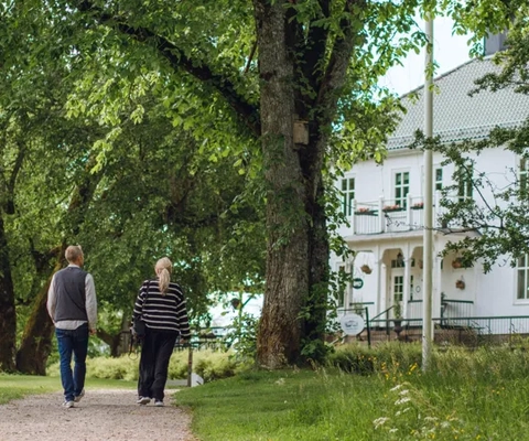 Människor som promenerar i skogsmiljö.