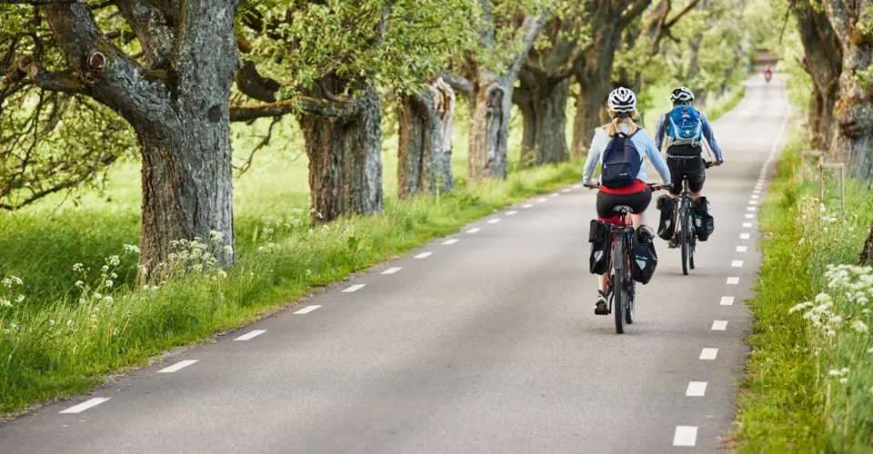 Vänner cyklar Vänerleden