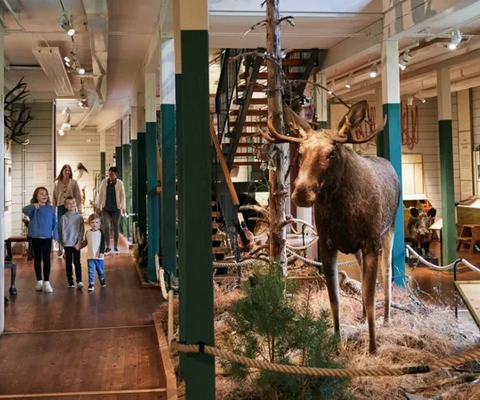 Barn på Kungajaktmuseet Älgens Berg