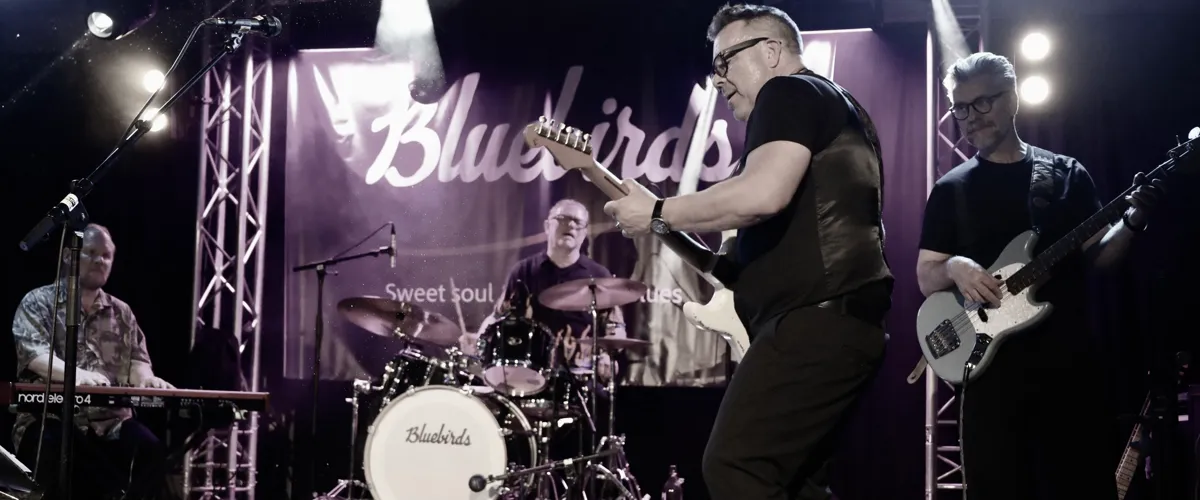 Bluebirds i Granviks pub