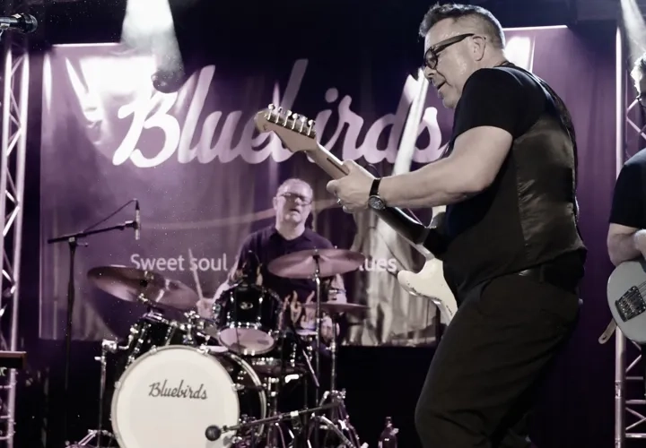 Bluebirds i Granviks pub