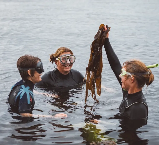Grupp av människor lär sig om tång.