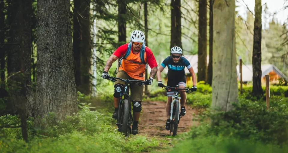 Två män cyklar på mountainbike i skogen