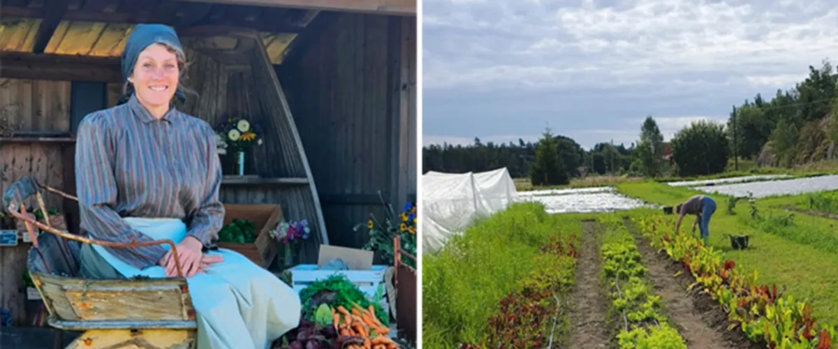 Föreläsning av Hannah Stening från Djupedals trädgårdar.
