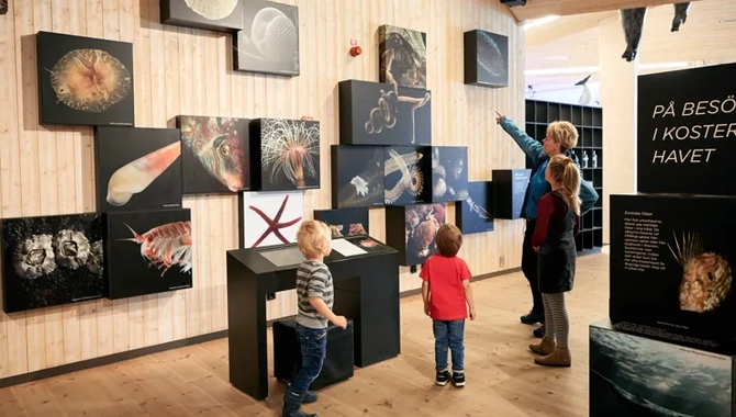En grupp människor som står runt en utställning på naturum Kosterhavet.