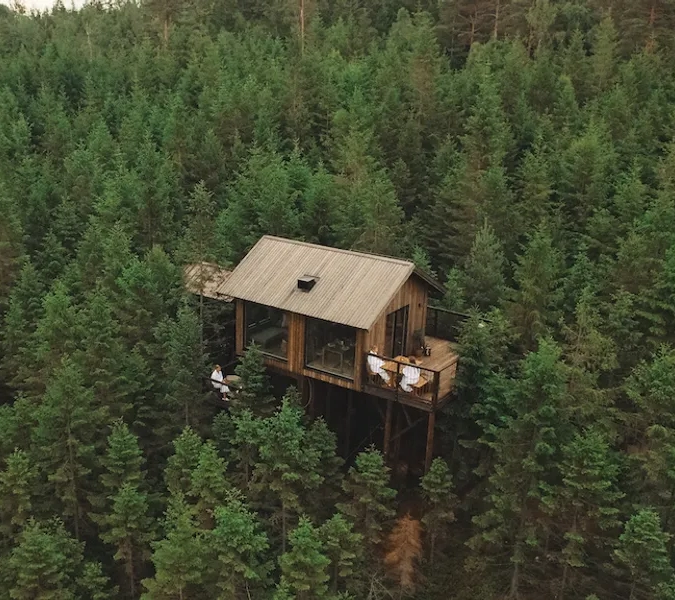 A tree house in the middle of a forest.