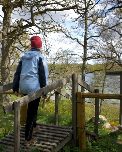 Två vandrare vid Flämsjön