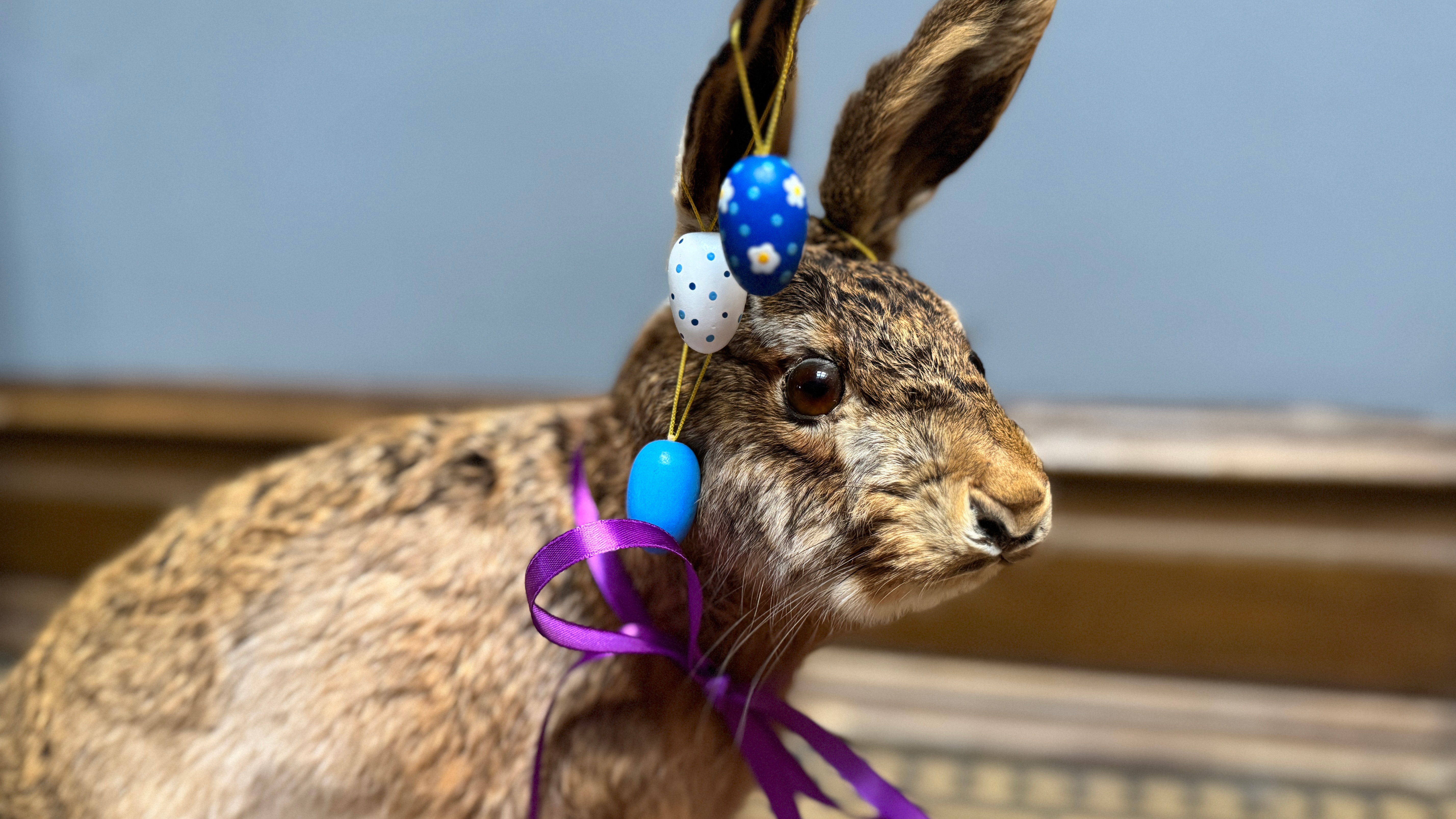 Påsklov på Vänersborgs museum