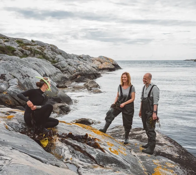 Grupp av människor lär sig om tång.