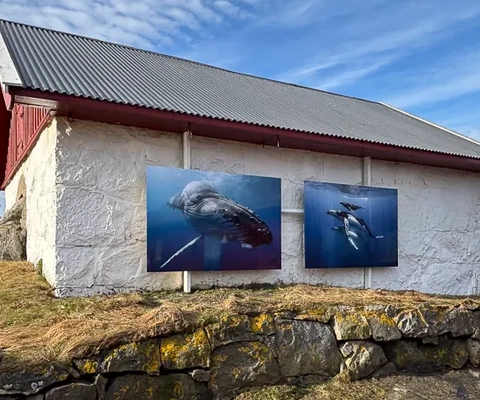 Fotoutställning Pater Noster