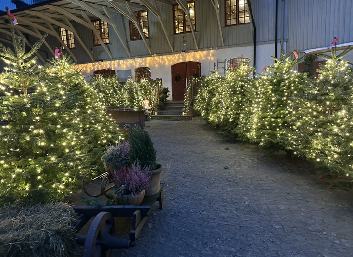 Jul på Vings Kvarn