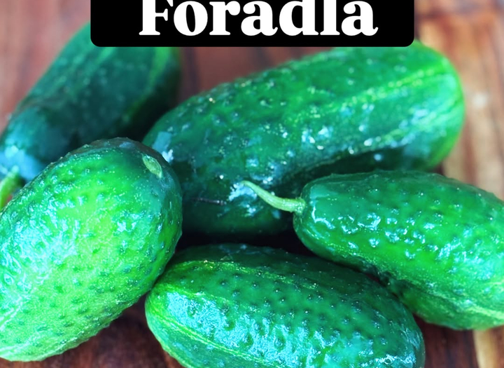 Skörda och förädla kurs
