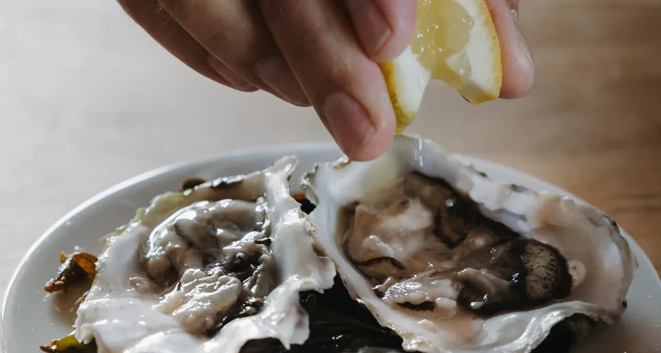 En tallrik med ostron och en hand pressar citron över.
