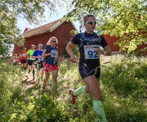 A group of people running in a race.