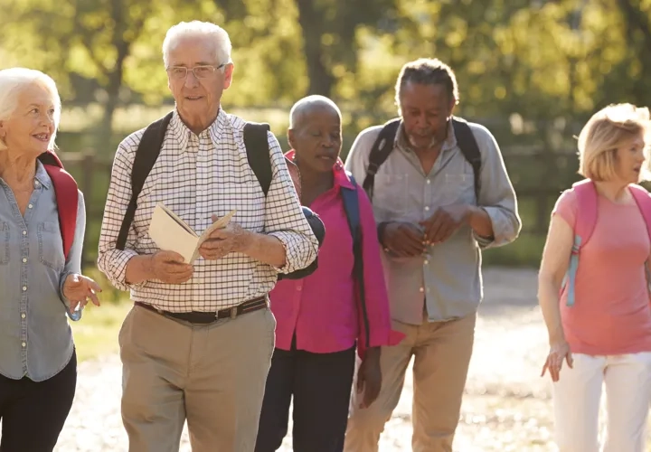 Seniordagen 2026