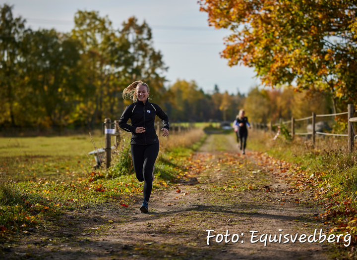 Tvåbensgaloppen
