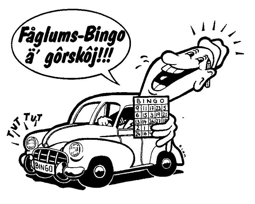 Drive in bingo