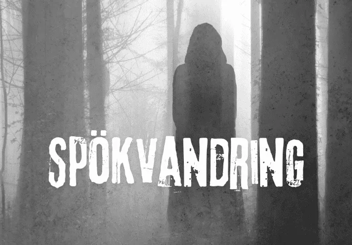 En läskig skugga av en person som står mitt i skogen.