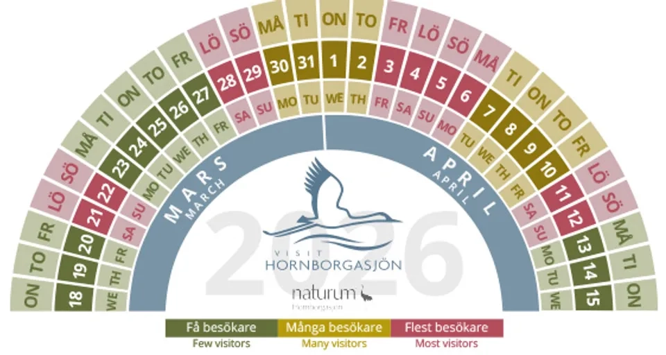 
a graph showing when there are more and fewer visitors to the trend dance
