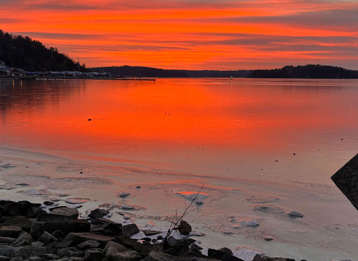 Rosa Gala i Ljungskile