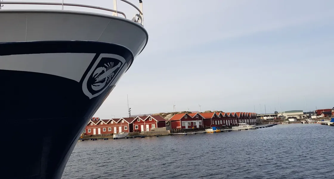 Guidad vandring i Rönnäng