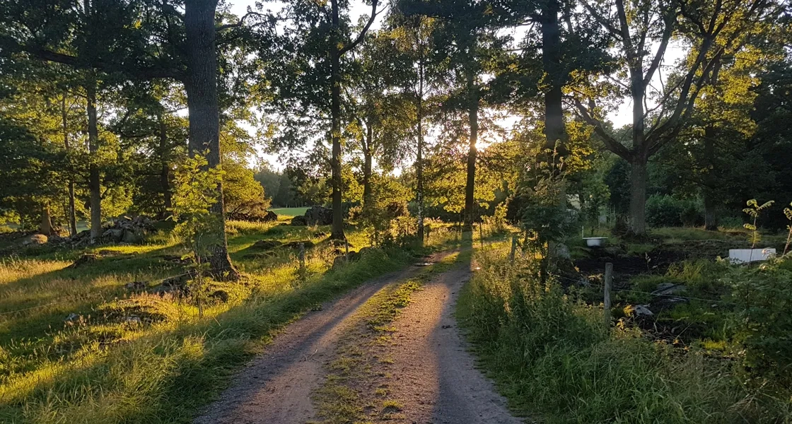 Jällby fornstig, vägavsnitt