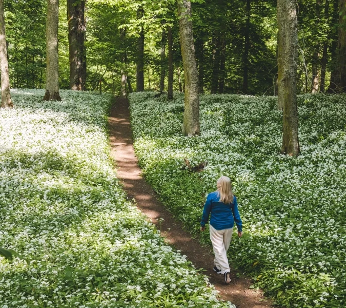 A woman walking down a path in the woods.