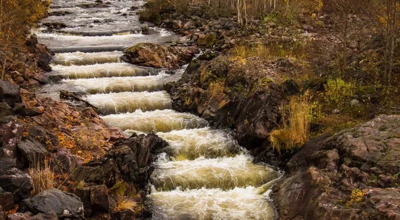 A river running through a forest filled with rocks.