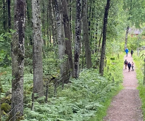 Fjälla elljusspåret