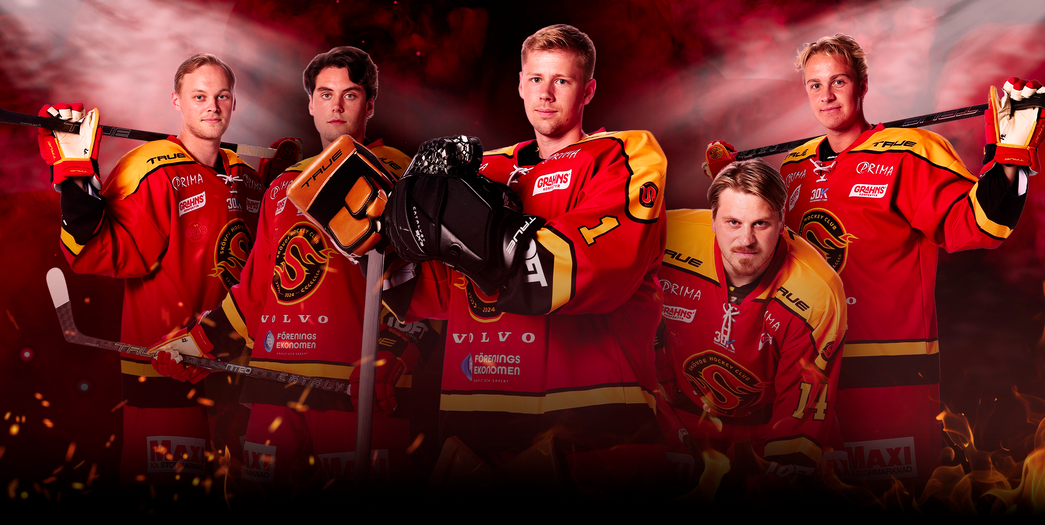 Spelarbilder Skövde HC