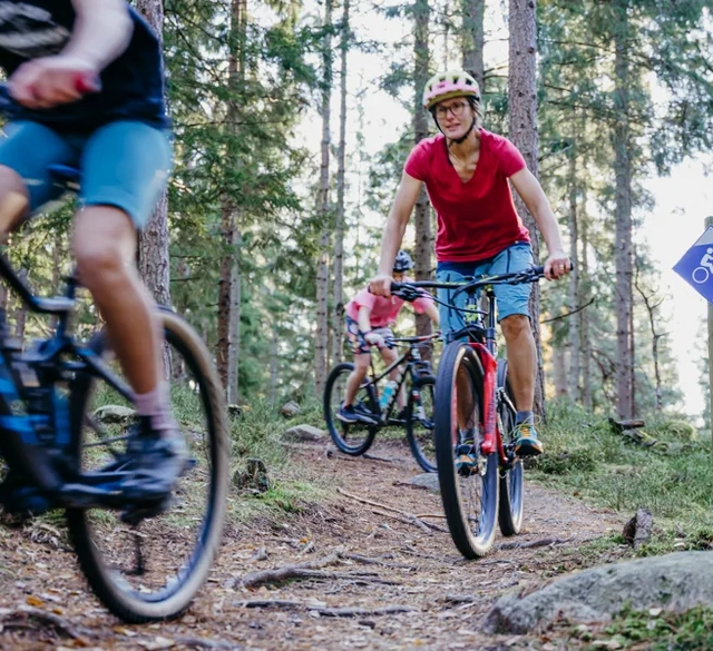 Two people riding bikes on a trail in the woods.