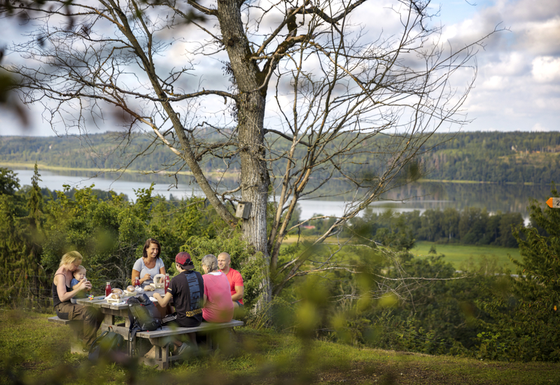 En grupp människor som sitter vid ett picknickbord.