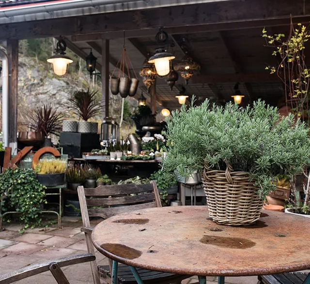 Blomma på ett rostigt bord