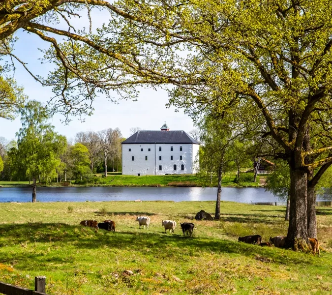 Medeltidsslottet Torpa Stenhus vid vattnet och bland grönskande träd